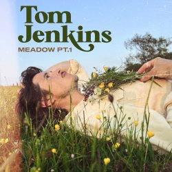 Tom Jenkins, Meadow Part 1 album artwork