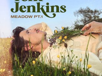Tom Jenkins, Meadow Part 1 album artwork