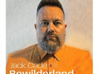 artwork for Jack Cade album "Bewilderland"