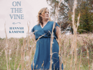 Album cover artwork for "Heavy on the Vine" by Hannah Kaminer