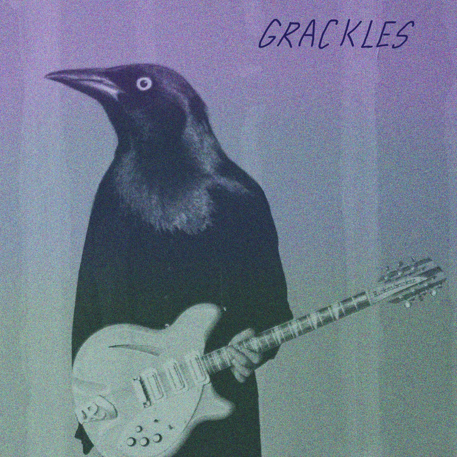 Grackles - Gioco Da Tavolo Fireside Games (FSG01011) - Multicolore, Adatto A Gruppi E Famiglie