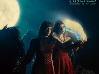 Charm of Finches 'Marlinchen in the Snow' Cover art