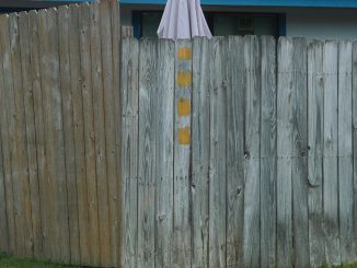 Album cover artwork for Good Looks "Lived Here For A While"