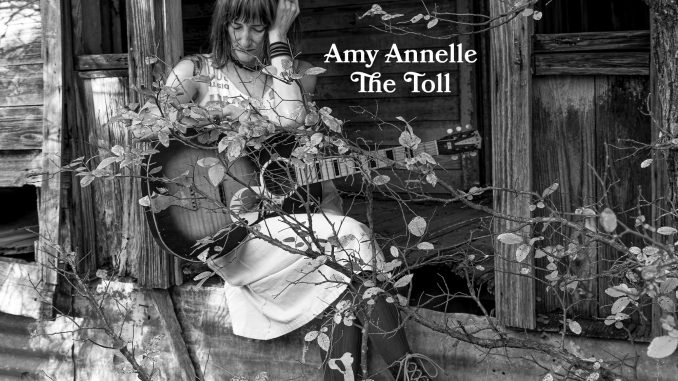 Artwork for Amy Annelle album "The Toll"