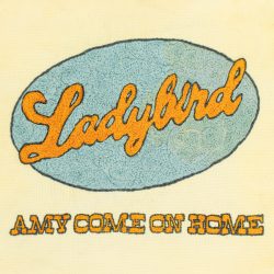 Ladybird 'Amy Come On Home' cover art