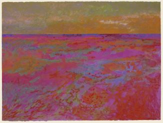 The Cactus Blossoms 2024