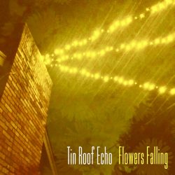 Artwork for Tin Roof Echo album "Flowers Falling"