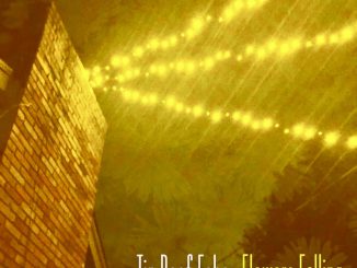 Artwork for Tin Roof Echo album "Flowers Falling"