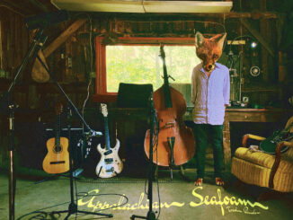 Cover art for Patrick Taylors album Appalachian Seafoam