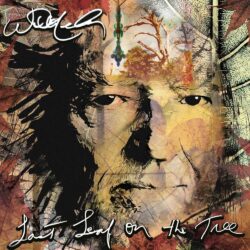 Artwork for Willie Nelson album "Last Leaf on the Tree"