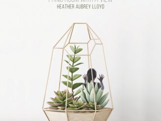 Album art for Heather Aubrey Lloyd Panic Room