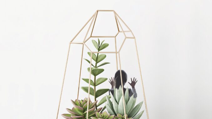 Album art for Heather Aubrey Lloyd Panic Room