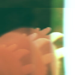 Album art for Natalie Padilla album Eostre