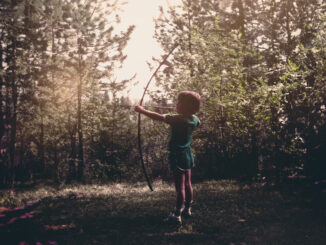 Album art for Josh Ritter album "Honeydew"