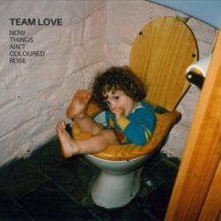 Album art for Team Love "Now Things Ain't Coloured Rose"