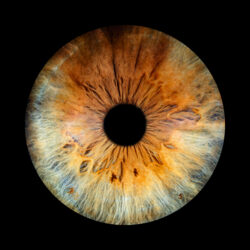 Artwork for Andrew Weiss and Friends album “The Last of the Outdoor Kids”