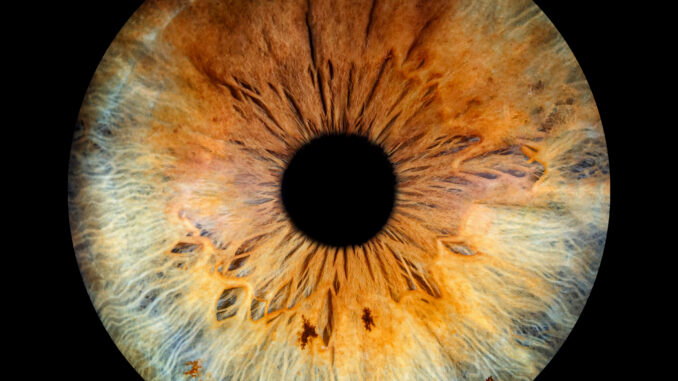 Artwork for Andrew Weiss and Friends album “The Last of the Outdoor Kids”