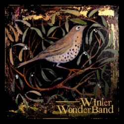 Album art for Winter Wonderland Album - Joy Illimited