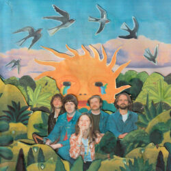 Cover artwork for Lovebirds by Birds Flying Backwards