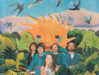 Cover artwork for Lovebirds by Birds Flying Backwards