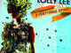 artwork for Lolly Lee album "Everything Spins"