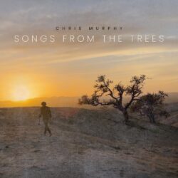 Album art for Chris Murphy "Songs From the Trees"