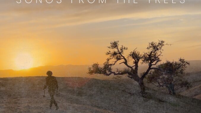 Album art for Chris Murphy "Songs From the Trees"