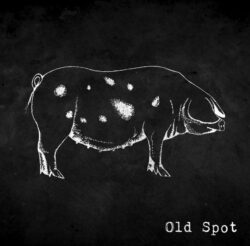 Album art for Old Spot album Old Spot II