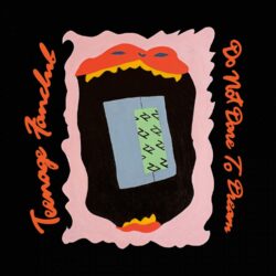 Album art for Teenage Fan Club Dare Not To Dream