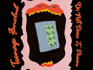 Album art for Teenage Fan Club Dare Not To Dream