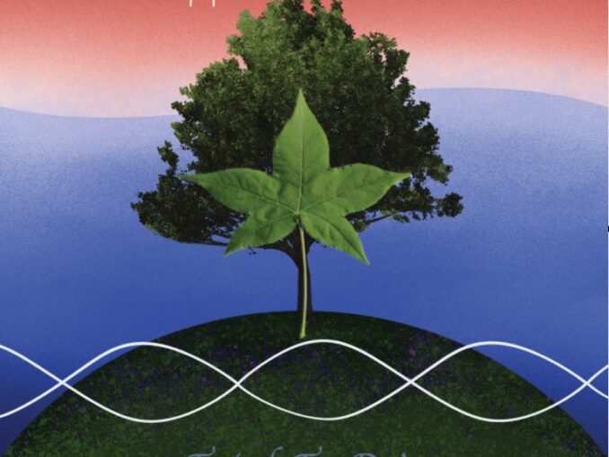 Artwork for Trippers & Askers album Tried To Do's