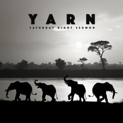 Artwork for Yarn album “Saturday Night Sermon”