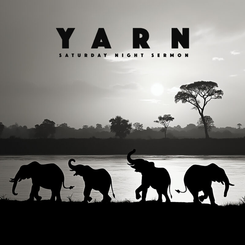 Yarn “Saturday Night Sermon”