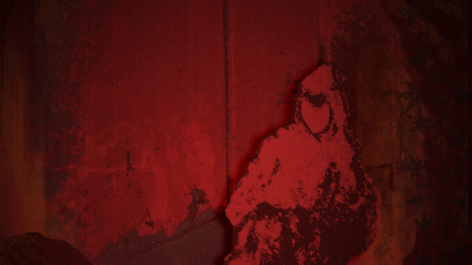 artwork for Trevor Sensor's album "A Few Tears of Eros"