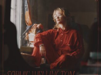 Album Art Sophie Wellington Her Bright Smile Haunts Me Still