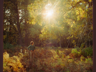 artwork for Alex Amen album "Sun of Amen" -