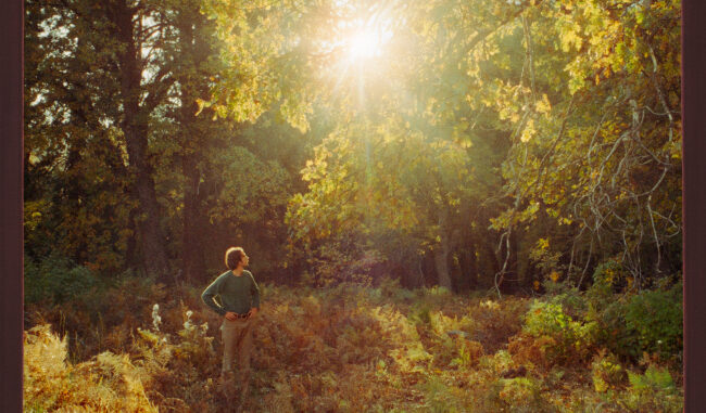 artwork for Alex Amen album "Sun of Amen" -
