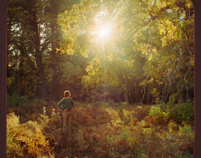 artwork for Alex Amen album "Sun of Amen" -