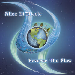 Album art Reverse The Flow Alice di Micele