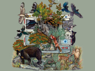 Anthony Ruptak Tourist album cover