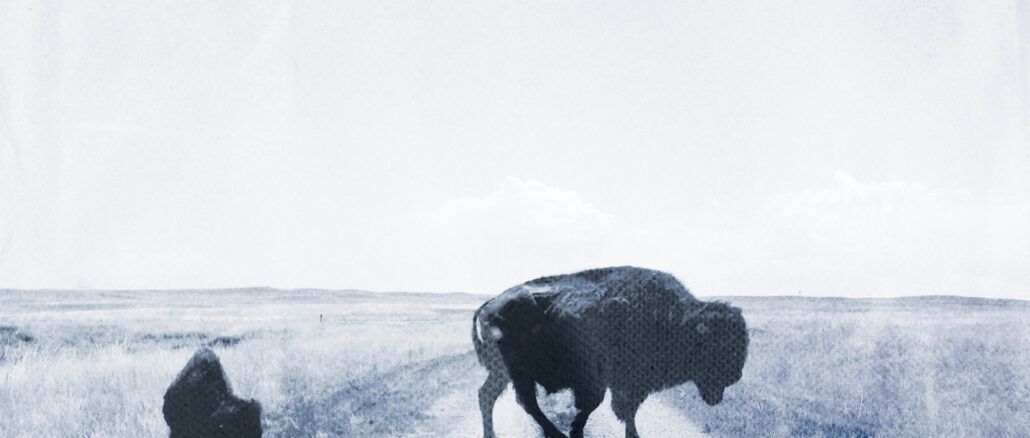 artwork for Big Harp album "Runs to Blue"