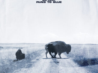 artwork for Big Harp album "Runs to Blue"