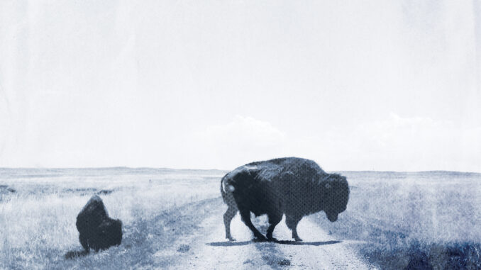 artwork for Big Harp album "Runs to Blue"