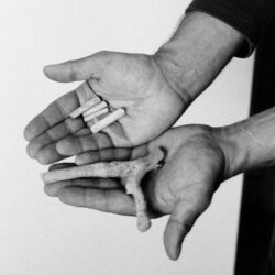 artwork for Book of Churches album