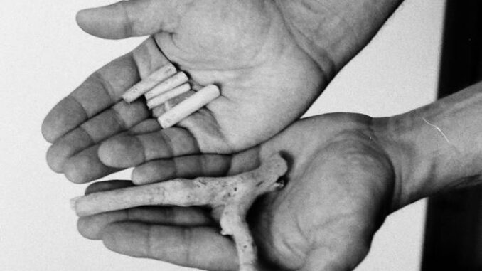 artwork for Book of Churches album