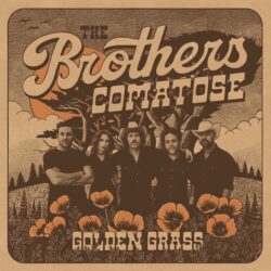 artwork Brothers Comatose review