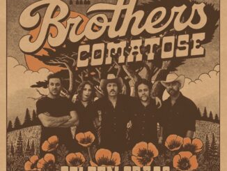 artwork Brothers Comatose review