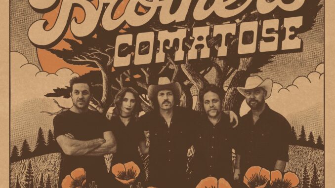 artwork Brothers Comatose review