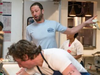 artwork for The Bear essentials