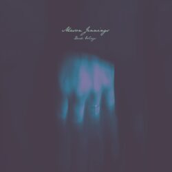 artwork for Mason Jennings album "Dark Wings"